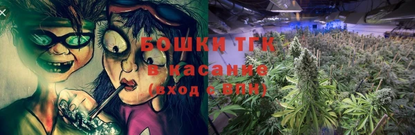 PSILOCYBIN Алзамай