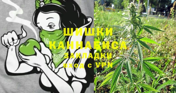 PSILOCYBIN Алзамай